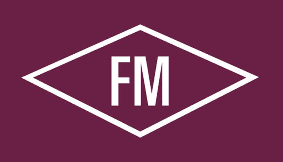 FM Global Logo Maroon