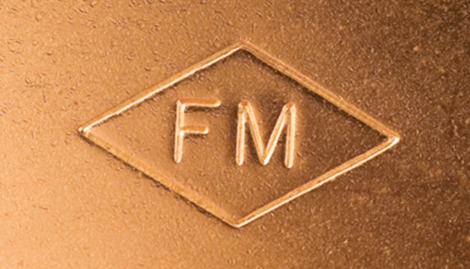 FM Global Logo Metal